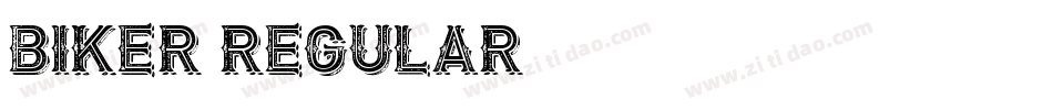 BIKER Regular字体转换